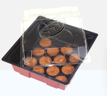 Red and black plastic bakery box with a clear hinged lid, showing round bite-sized cookies inside