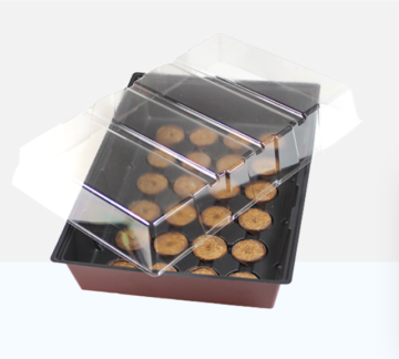 Open clear plastic clamshell display lid over a brown baking tray filled with small round cookies, angled for viewing